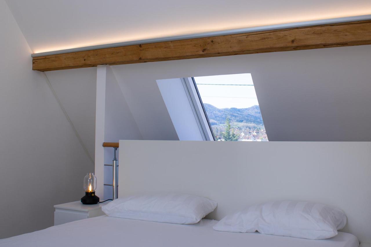 Apartment Im Alten Fronhof Balingen Buitenkant foto